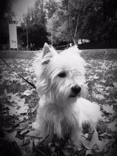 De paseo 